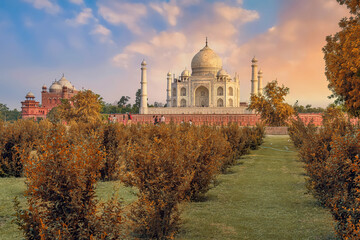 Iconic Taj Mahal Agra at sunset as viewed from Mehtab Bagh on the banks of river Yamuna
