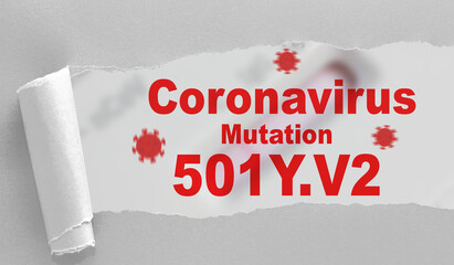 501Y.V2 mutated Coronavirus from South Africa - Konzept