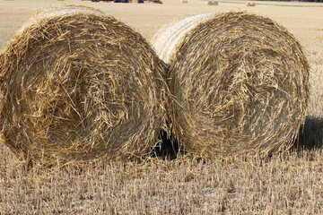 Hay bales and field stubble
