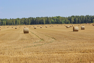 Fototapeta premium Hay bales and field stubble