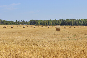 Fototapeta premium Hay bales and field stubble