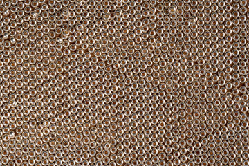 Beautiful background with golden beads.Macro photograph with copy space.