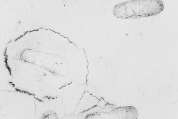 Shoe imprints in snow surrounded by cracks