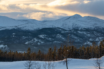 A stunning mountain view in winter time with spruce trees in foreground and huge, snow capped mountains in the background. Taken in Yukon Territory northern Canada. 