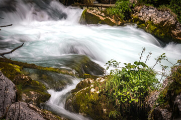 Fototapeta na wymiar waterfall in the forest, echerntal, hallstatt, austria