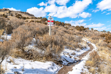 Biking trail on snowy mountain with abundant foliage under blue sky and clouds