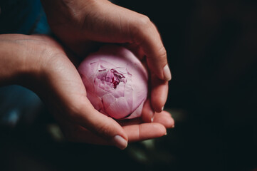 a flower in my hands