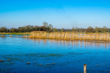 Vendée, France: the marshes of blue colors are frozen, winter is here, a superb day with magnificent skies, not far from Challans.