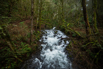 Waterfall along Oregon's Historic Coast Highway - 402880360