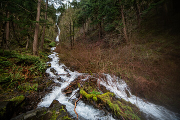 Waterfall along Oregon's Historic Coast Highway - 402880525