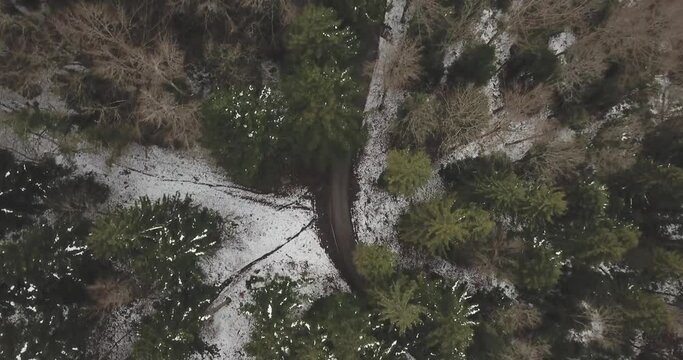 For&ecirc;t en hiver, Suisse