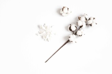 Bamboo cotton sticks, Cotton buds, ear wax, Cotton swabs orizontal frame with place for text. Spa concept.Hygienic sanitary swabs on white background. Top view.