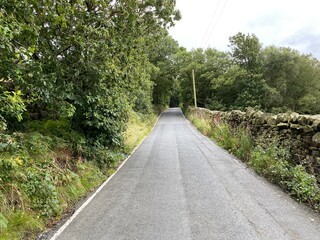 Looking down, Holden Lane, with dry stone walls, wild plants, and trees, on a cloudy day near, Silsden, Keighley, UK