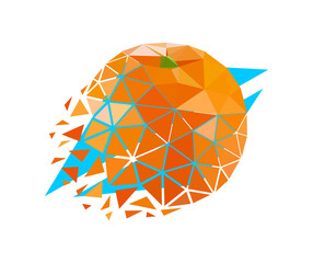 Vector orange in low poly style