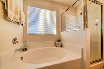 Minimalist bathroom interior with glass walled shower stall and round bathtub