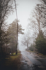 Puddled street in cloudy weather.NEF