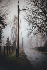 Puddled street in cloudy weather.NEF