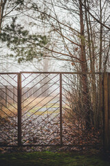 fog and branched shrubsl behind the fence