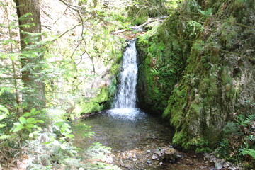 Kleiner Wasserfall auf dem Weg von Ottenhöfen zum Karlsruher Grat im Schwarzwald