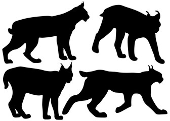 Wild lynx in the set. Vector image.
