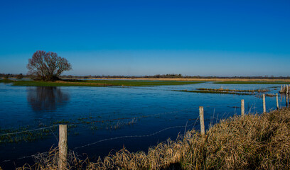 Vendée, France; January 2, 2021: the marshes of blue colors are frozen, winter is here, a superb day with a magnificent sky, not far from Challans.

