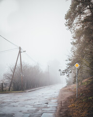 Puddled street in cloudy weather.NEF