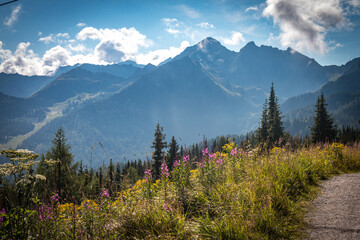 scenic view from planai, schladming, austria, alps, mountains, hiking