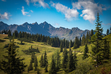 hiking path in the alps, planai, schladming, austria
