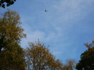 Light aircraft in a softly clouded bright blue sky over the trees