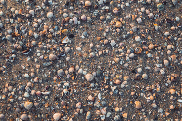 pebbles in the sand