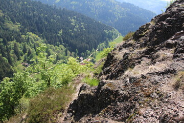Blick auf den Karlsruher Grat im Schwarzwald