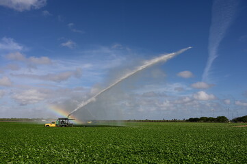 Pump trucks irrigating planted fields near Homestead, Florida creating rainbow in spray on sunny winter morning.