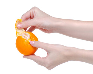 Fresh mandarin tangerine in hand on white background isolation