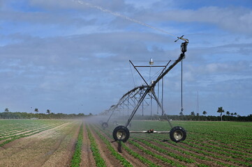 Automated irrigation equipment watering planted fields near Homestead, Florida on sunny winter morning.