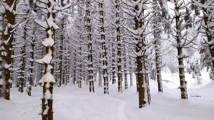 La Bresse
