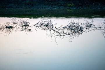 Fish farming pond inside of a village in the evening