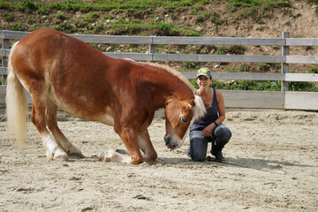 Woman trains dressage horse in corral
