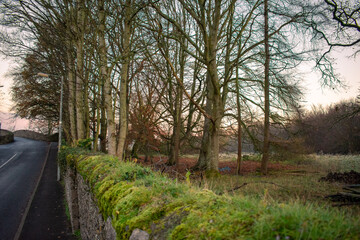 Sunrise along Ancient Irish Pathway