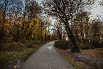 Obraz premium Amazing view with colorful autumn forest with asphalt mountain road at sunset.