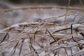 Wintereinbruch am kleinen See / Serie Bild 6