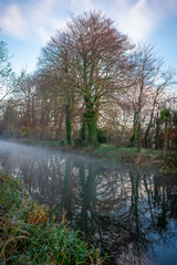 Foggy Sunrise at Irish Canal