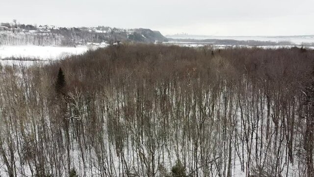 vue a&eacute;rienne d'une for&ecirc;t en hiver