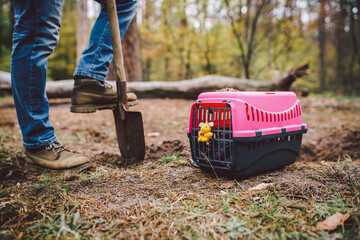 The topic of burial of pets is not legal. Man digs hole with shovel for burying an animal in the...