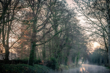 Fototapeta premium Foggy Sunrise at Irish Canal