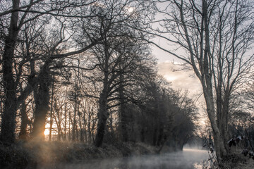 Obraz na płótnie Canvas Foggy Sunrise at Irish Canal