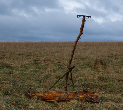 The English Wiltshire Look-a-like Equivalent Of Short Circuit Robot