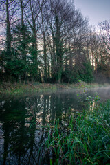 Foggy Sunrise at Irish Canal