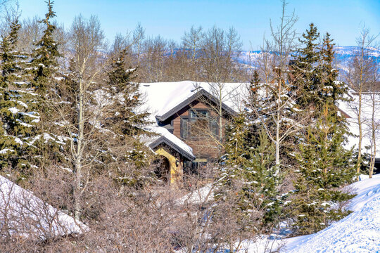 Foggy Snowy Hill In Winter With Home Nestled Amid Leafless Trees And Evergreens