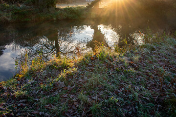 Foggy Sunrise at Irish Canal