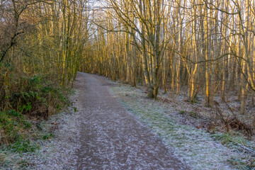 Eglinton Country Park Irvine with its frozen walks and winter bared trees